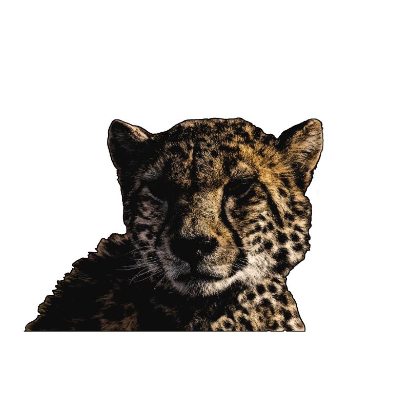 GUÉPARD