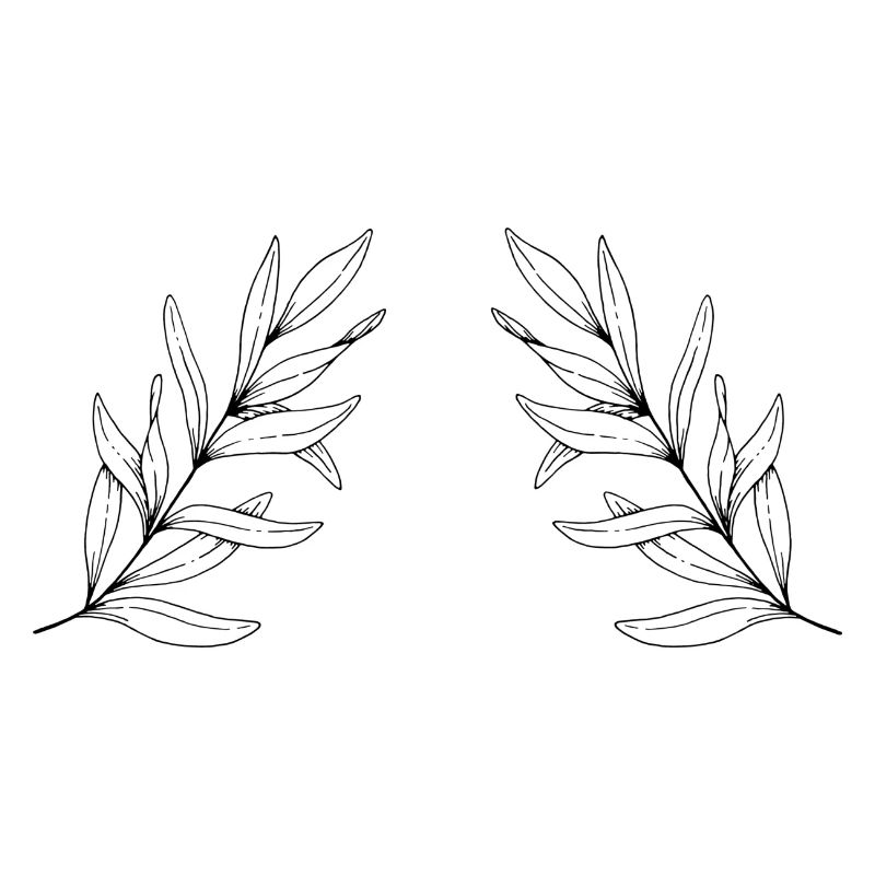 Branche de feuille