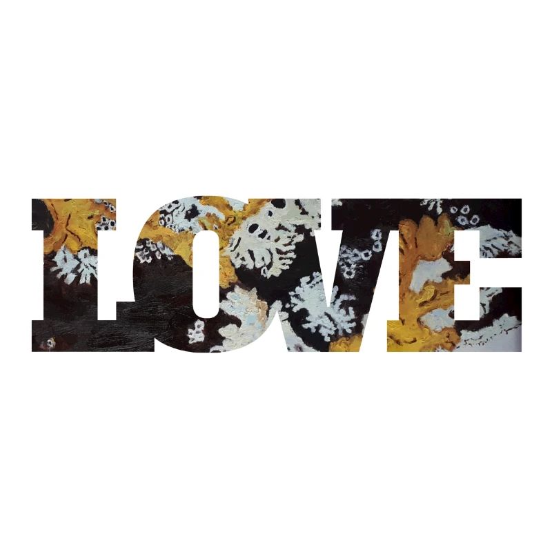 Lichen lover
