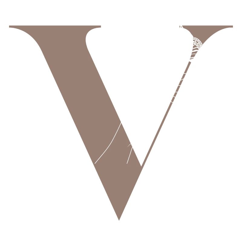 Letter V Magic butterfly