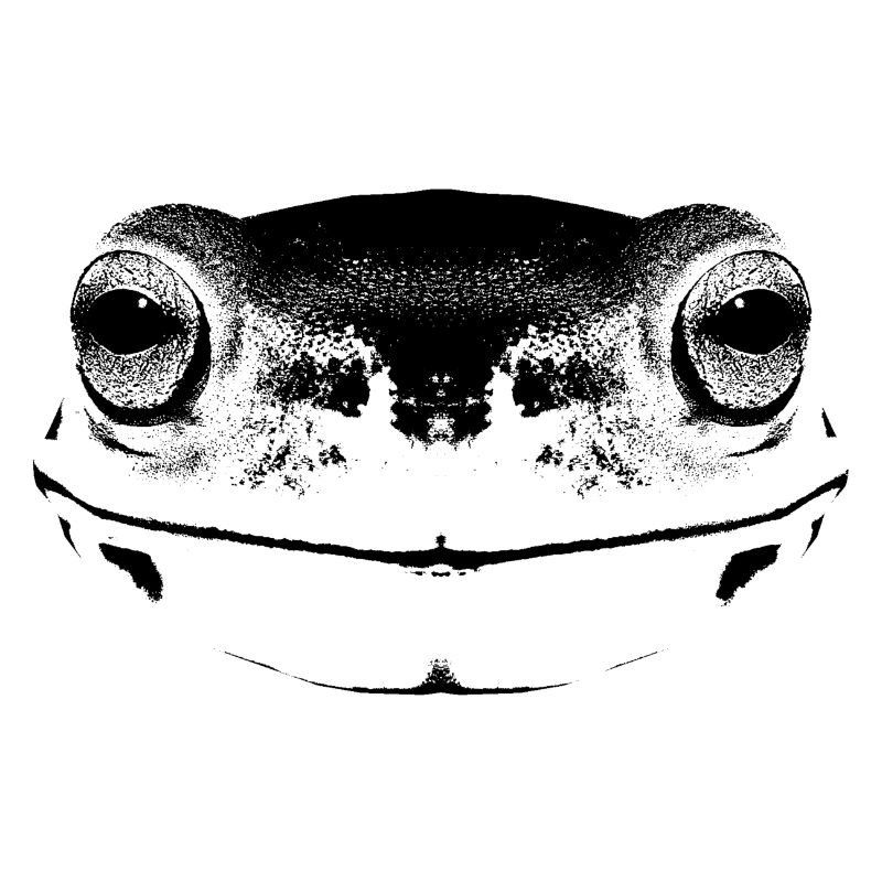 Frosch / Gesicht / frog Face