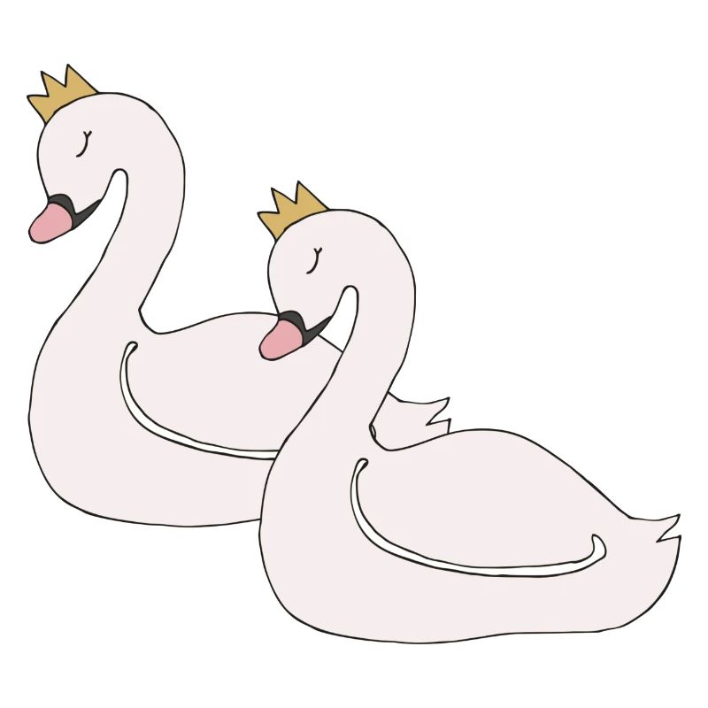 Cygne 2x
