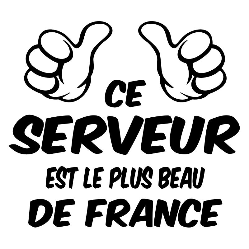 MEILLEUR SERVEUR
