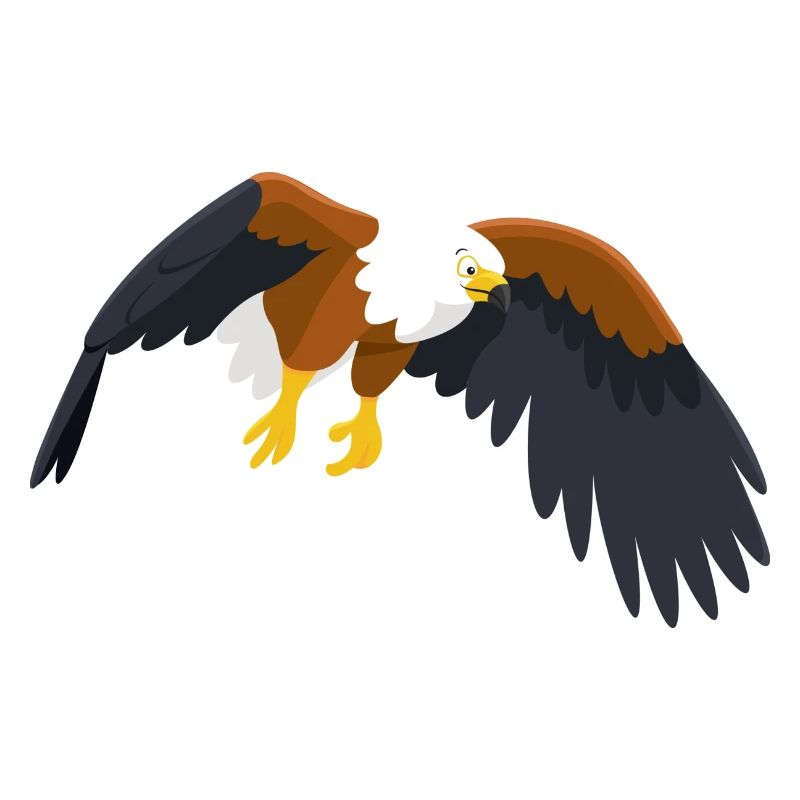 Aigle de mer africain