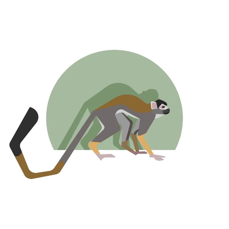 Singe écureuil