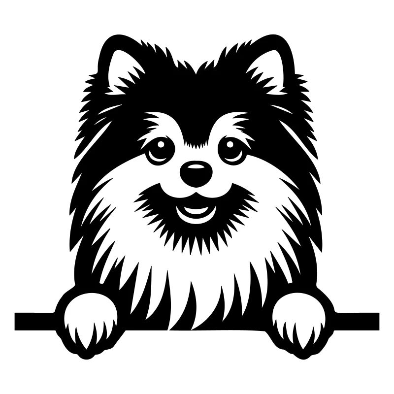 Pomeranian