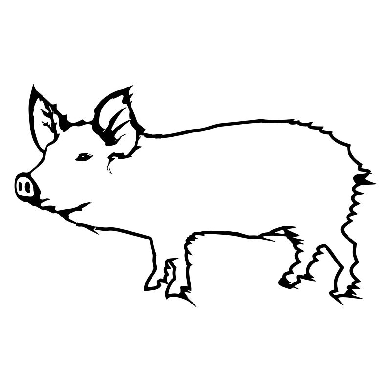 Schwein
