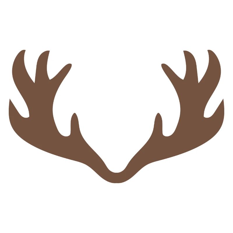 Bois de cerf