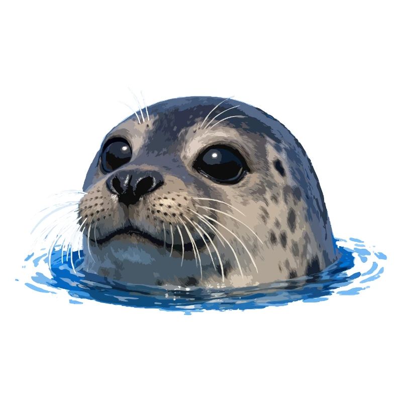 Scellement au-dessus de l’eau