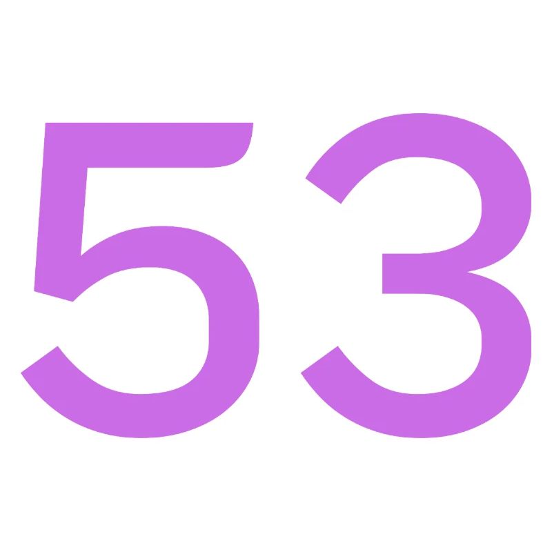 53
