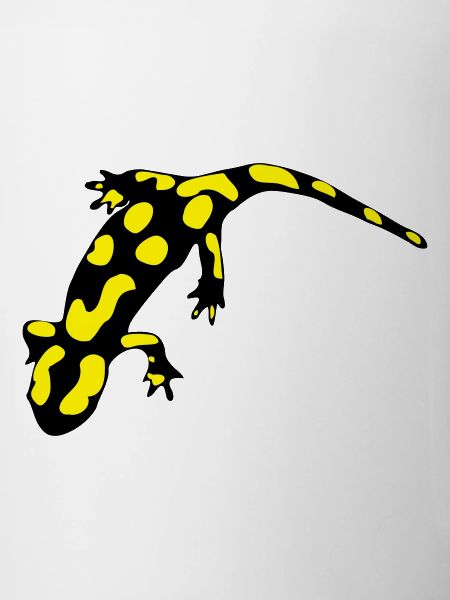 Feuersalamander (ital.)