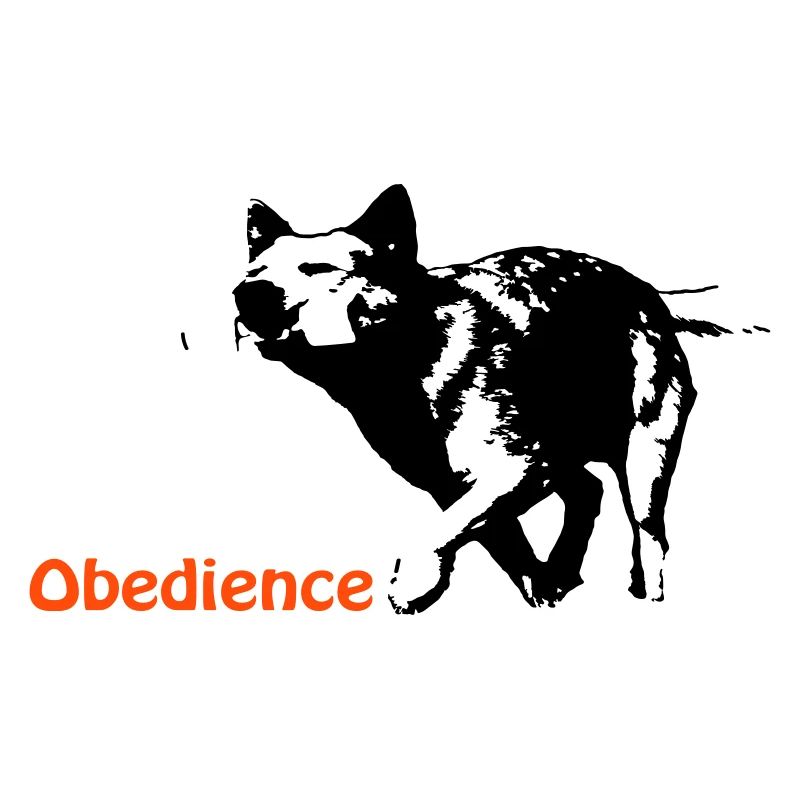 Obedience Cattledog