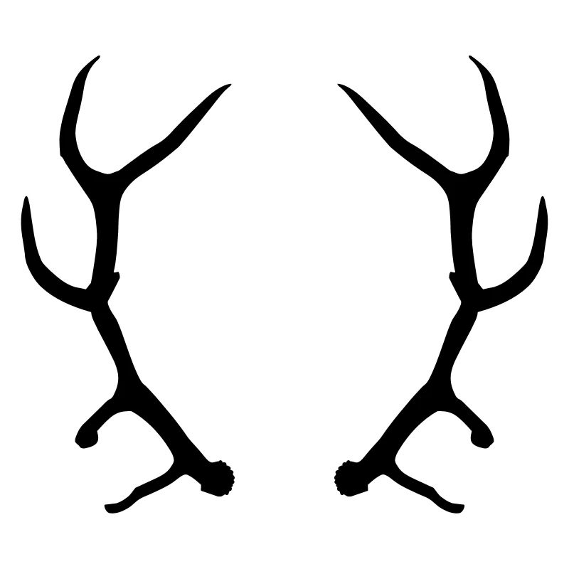 Geweih