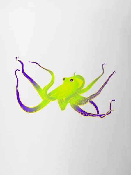 Octopus neon
