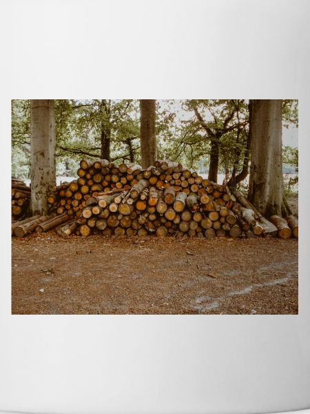 Holz im Wald