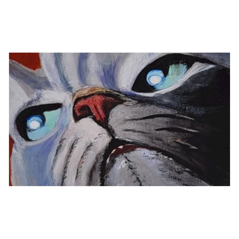 Bande dessinée de chat