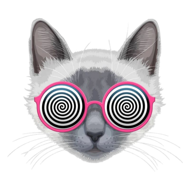 Chat hypnotique