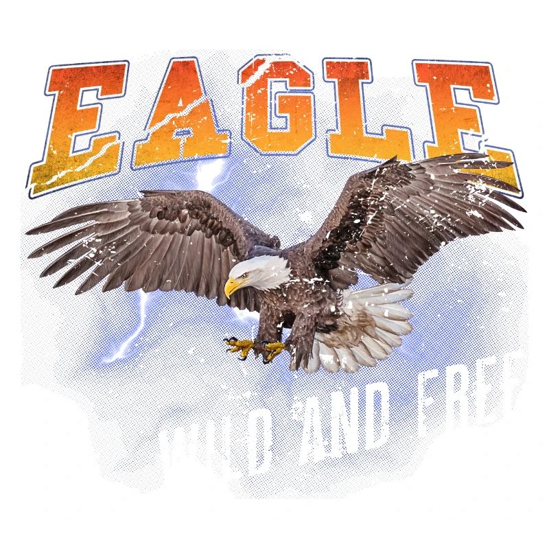 Eagle Eagle Freedom Freedom Nature Aventure