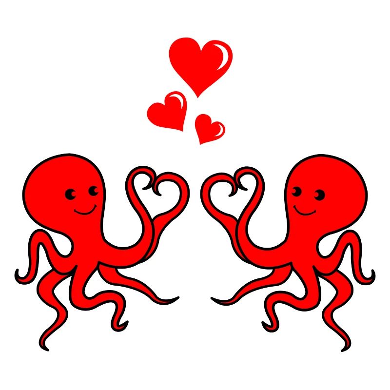 Octopus Amour