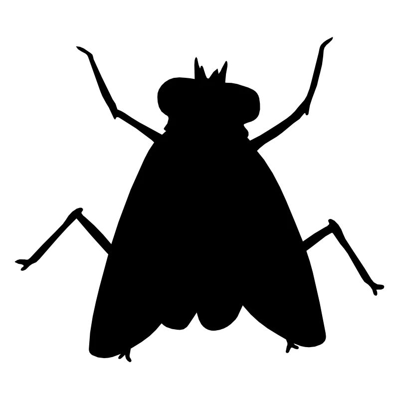 Silhouette Small House Fly Insect