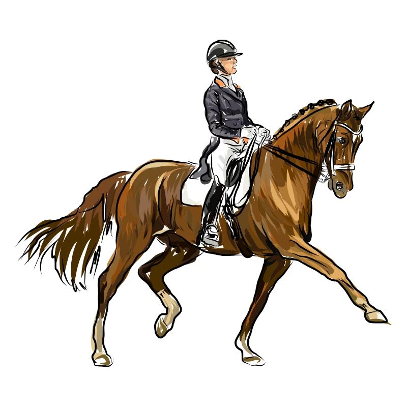 cheval et son cavalier
