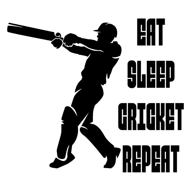 Équipe de cricket Équipe de cricket