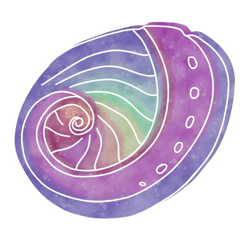 "Abalone", Boho Line Art Design, Serie "Shells"