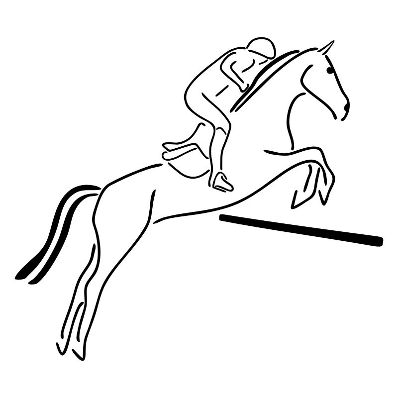 Aperçu du saut d’obstacles