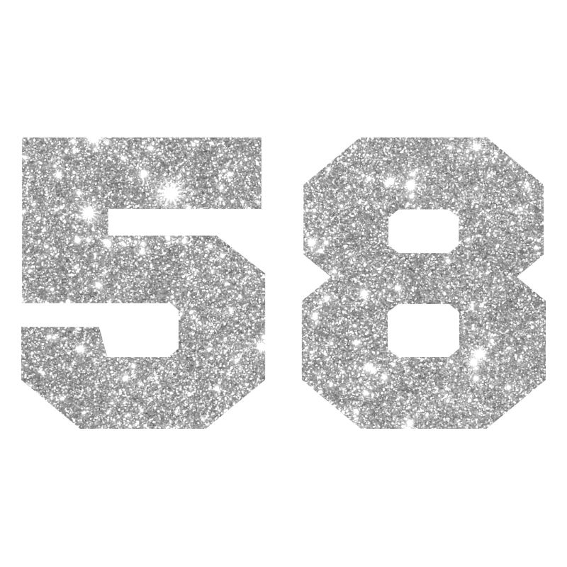 Number 58 Silver Glitter - 58th Anniversary