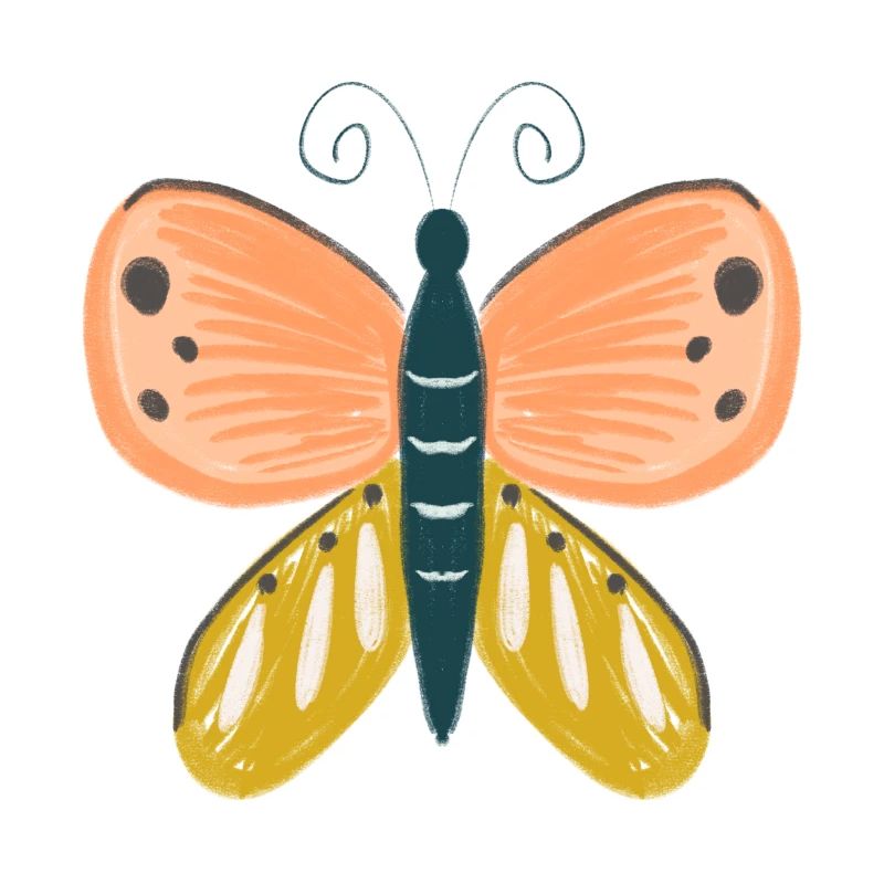 Papillon