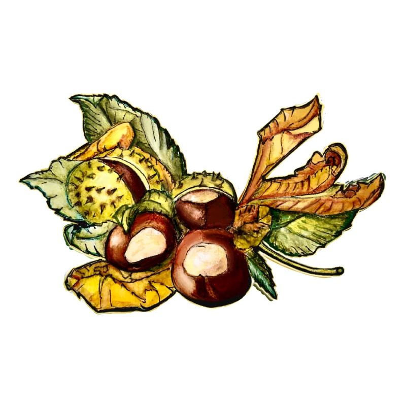 Châtaignes