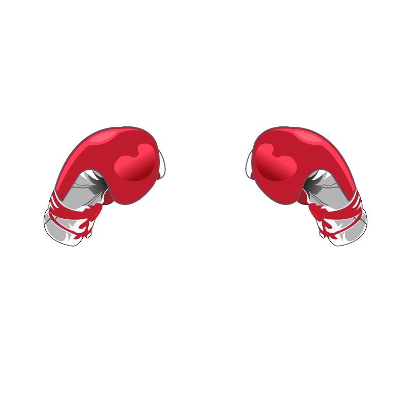 Zukunft Boxer