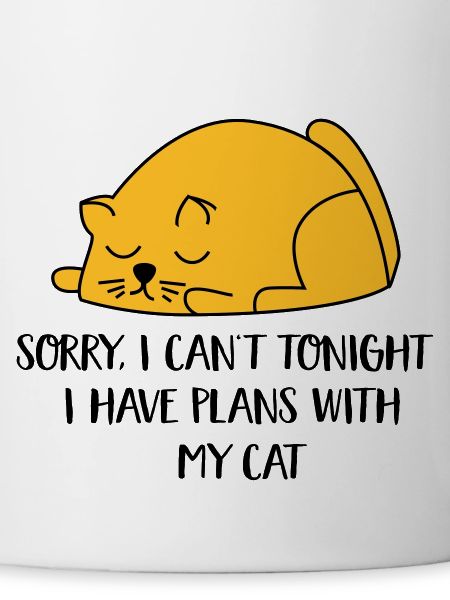 2541614 129996413 cat