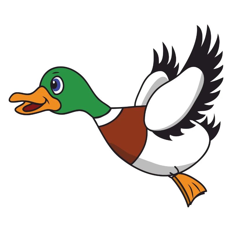Flying duck