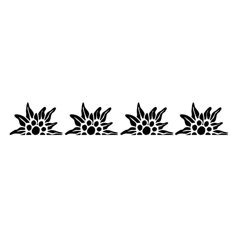 edelweiss