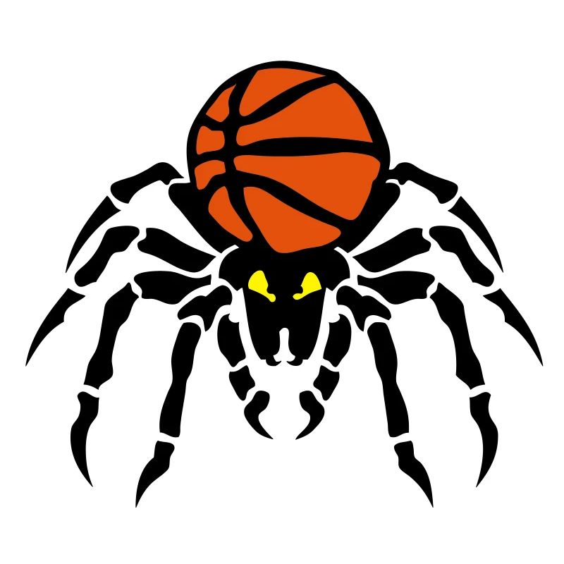 basketball araignee spider spinne ballon