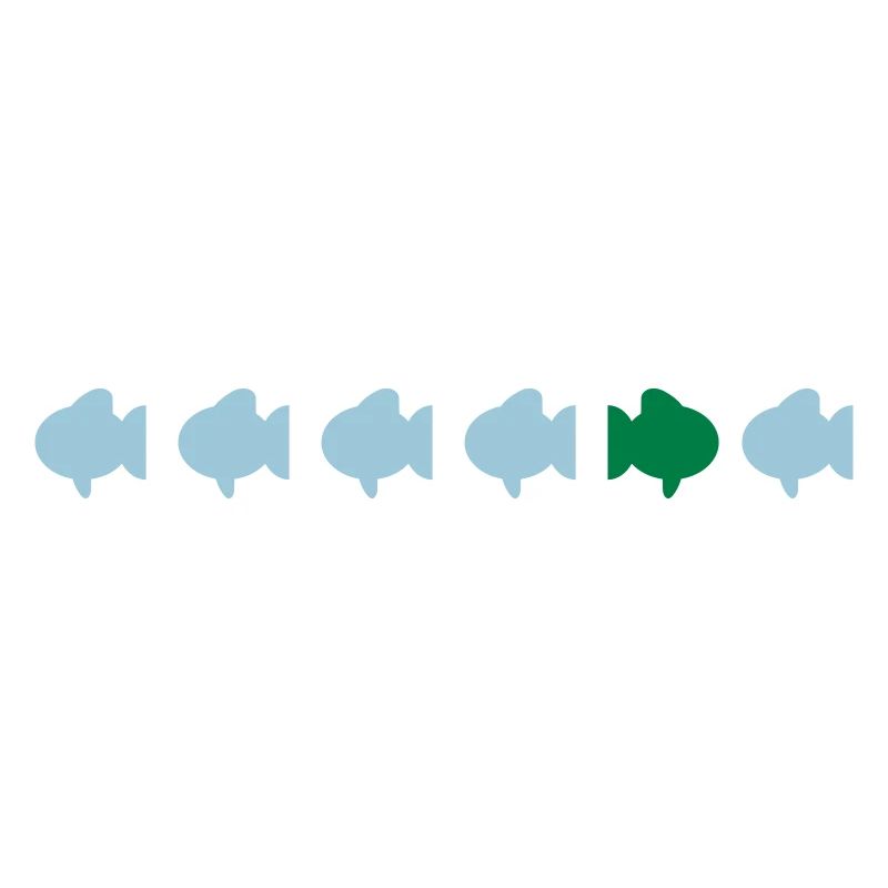 different fish différents poissons