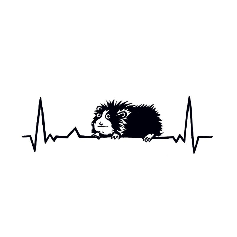 Cochon d'Inde Heartbeat
