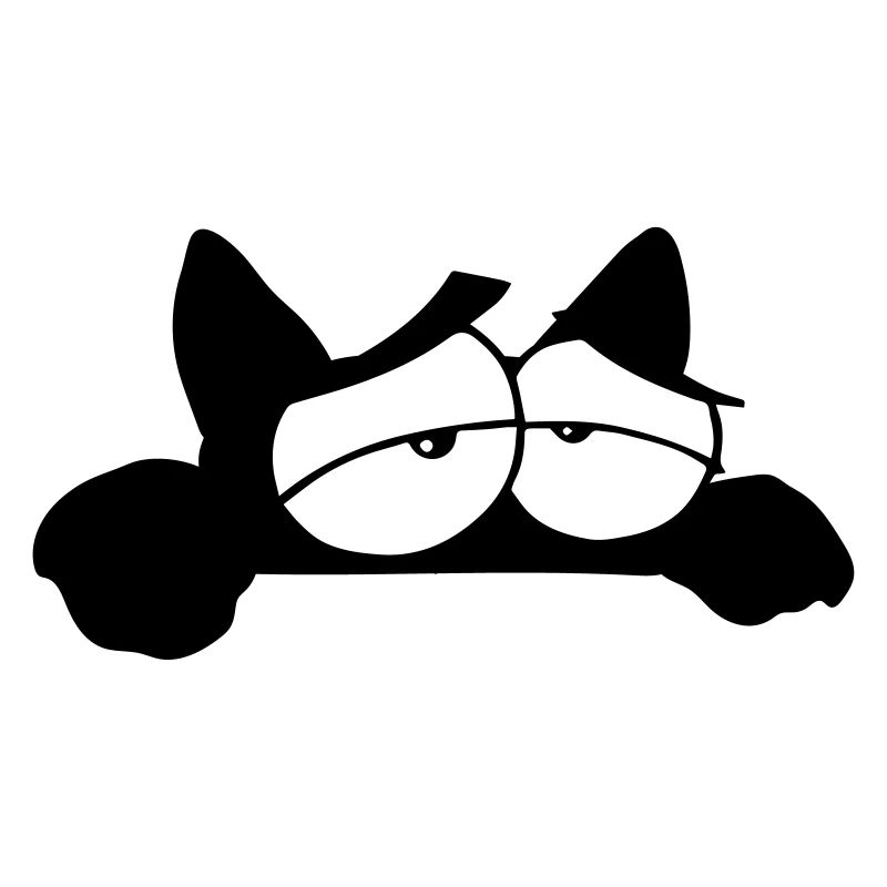 Chat noir 11