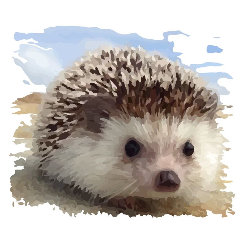 Hérisson