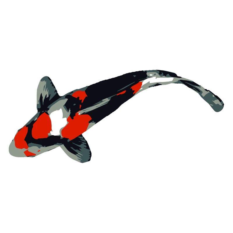 Koi Karpfen