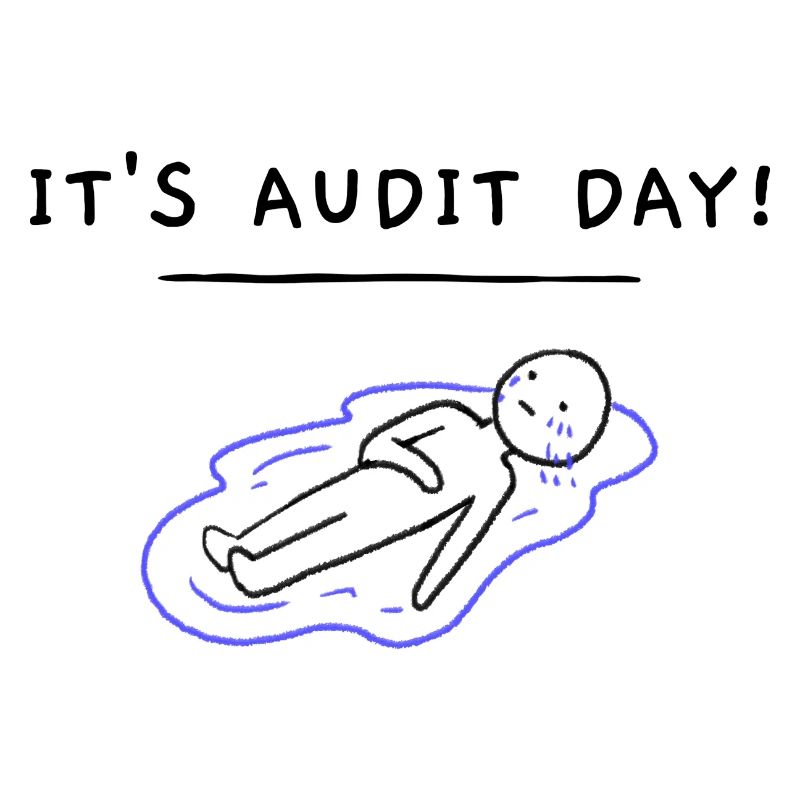 It's audit day