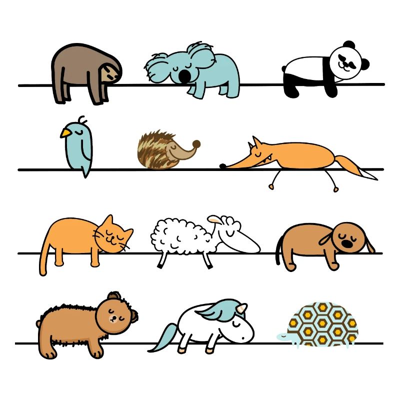 Funny Lazy Animals Sleep