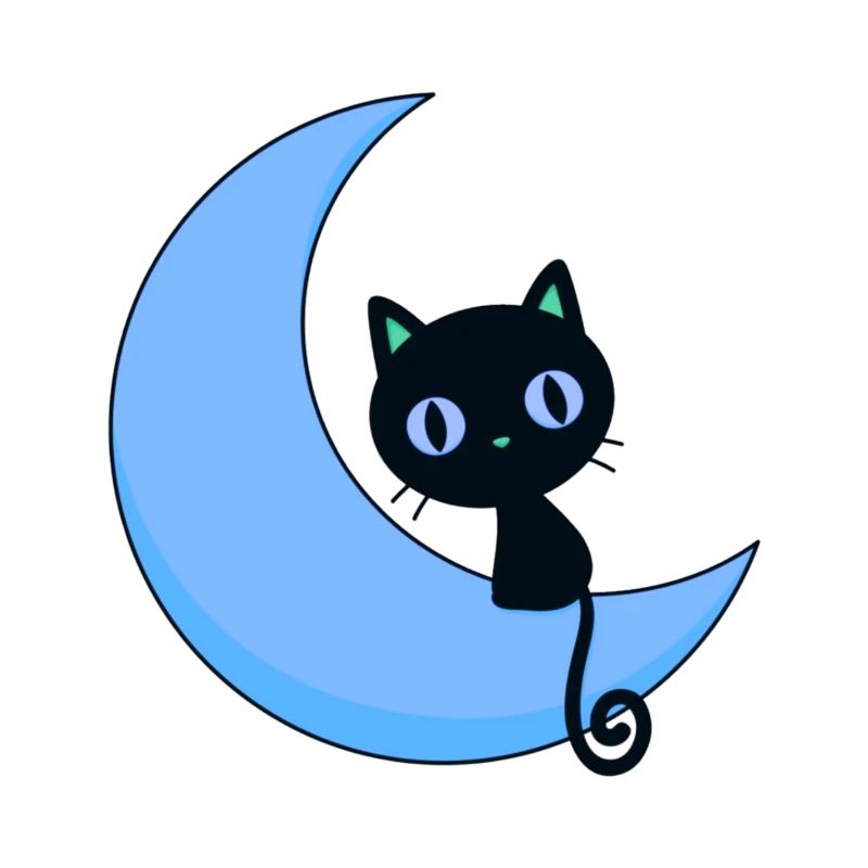 mignon chat avec lune,chat,lune