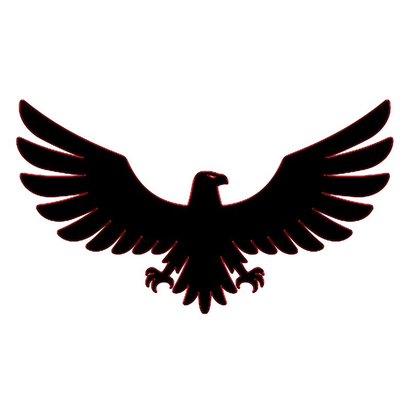 Eagle Eagles Eagle bird bird falcon hawk symbol art
