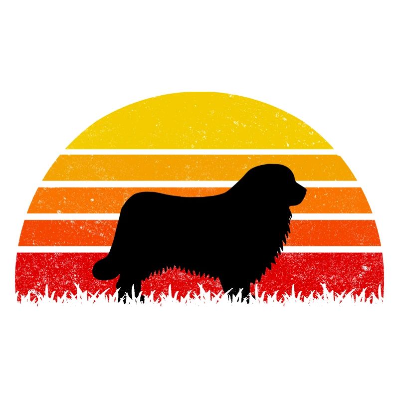 Chiens de Terre-Neuve Sunset
