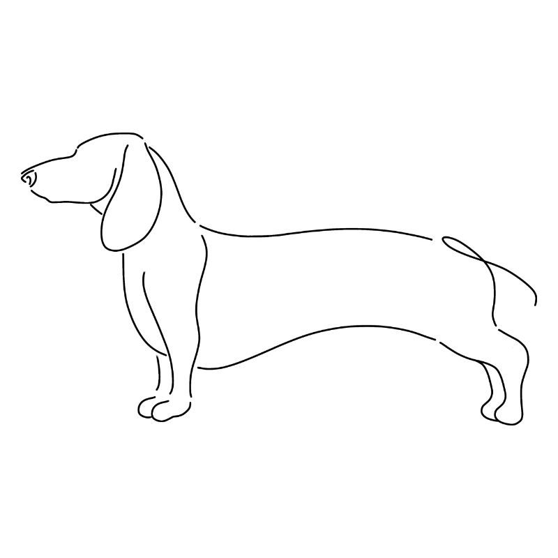 Teckel Minimaliste