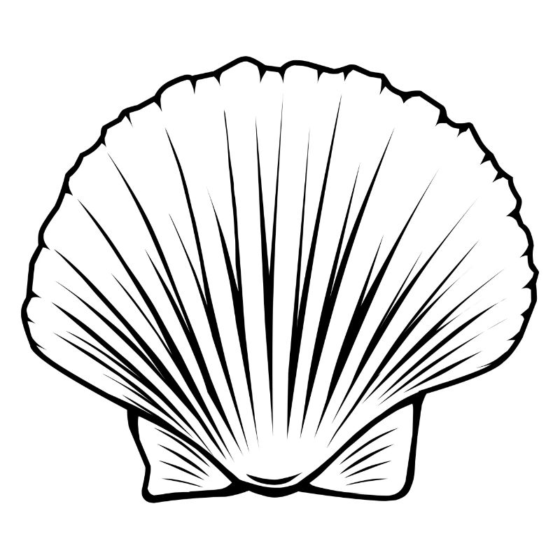 Scallop Outline by Scuba.Style