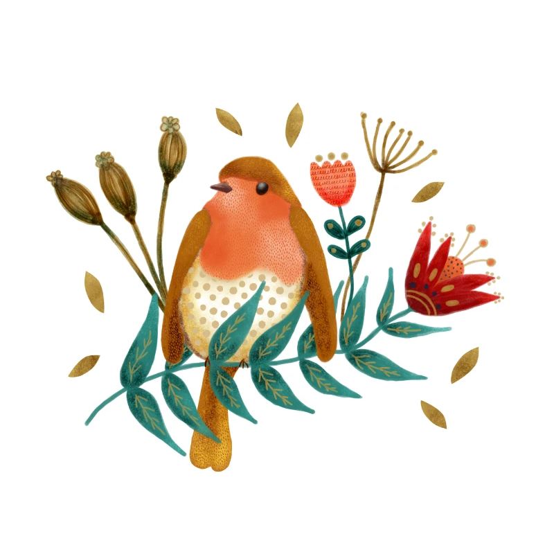 Vogel Roodborst Robin Oiseau