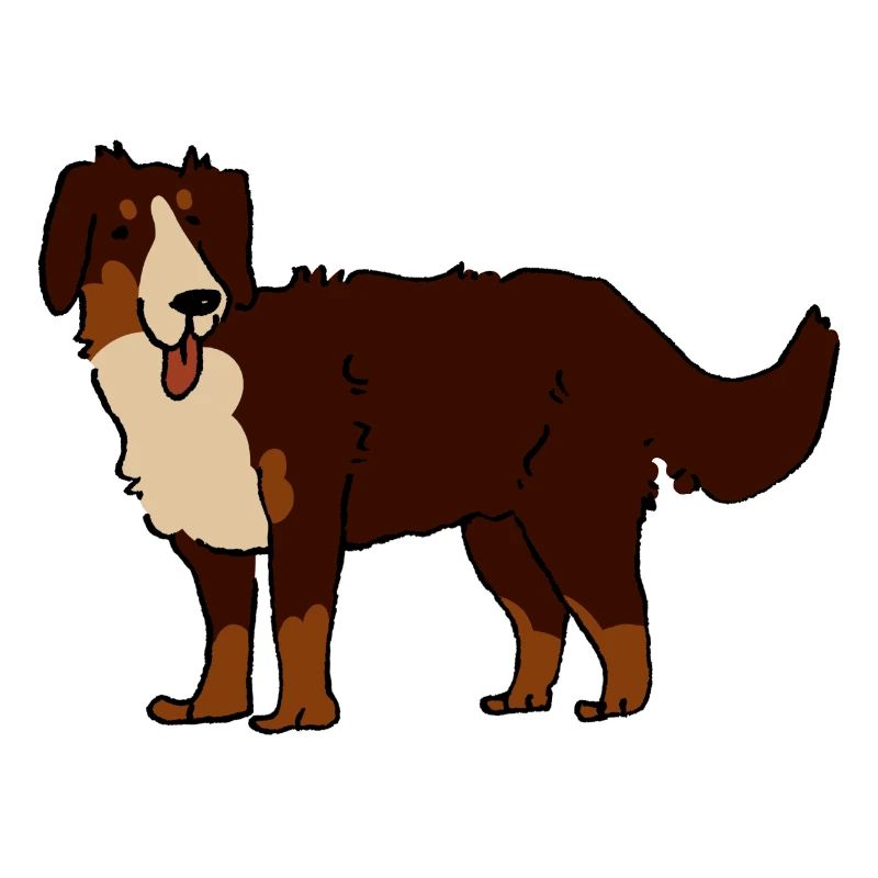 Bouvier bernois